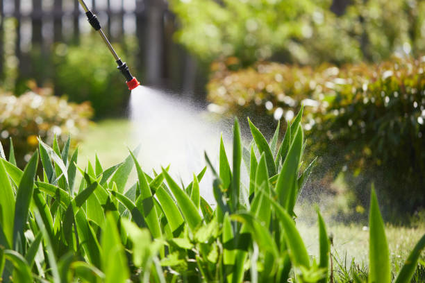 24/7 Emergency Mosquito Control experts in Charlestown, IN
